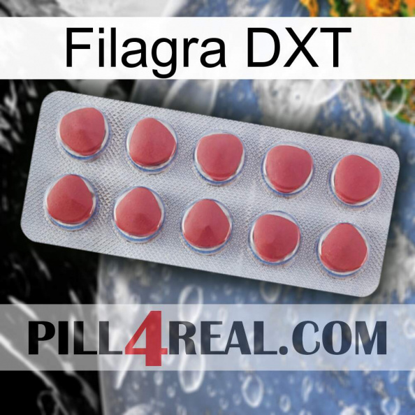 Filagra DXT 18.jpg